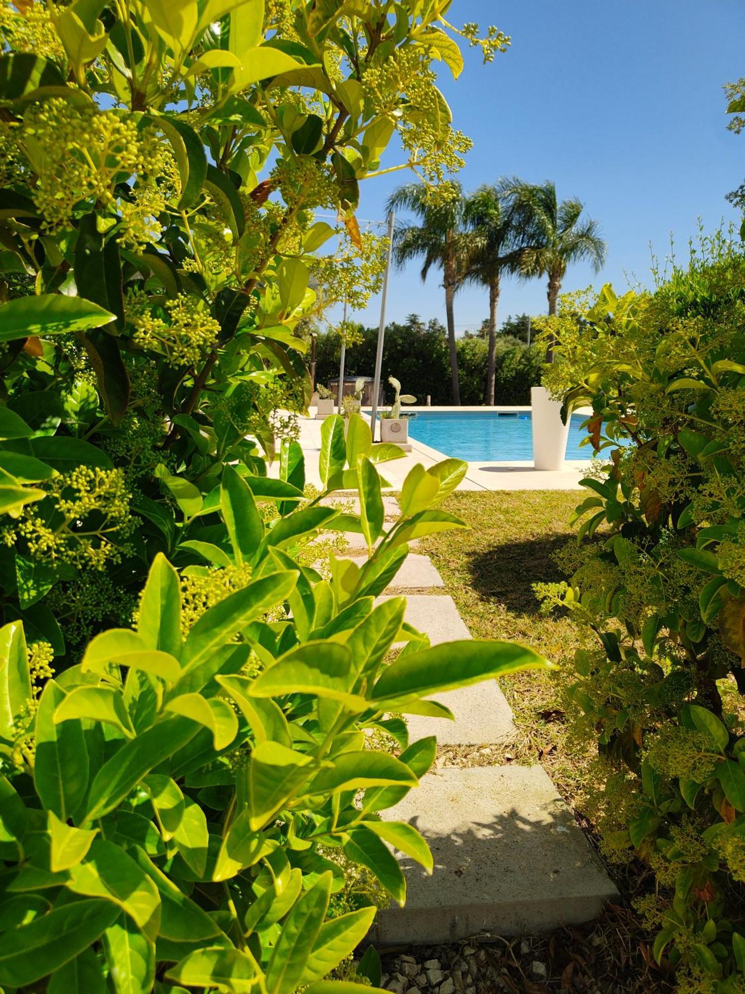 Suite12 Marsala Luaran gambar